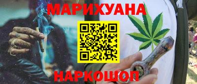 шишки Владимир