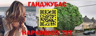 шишки Владимир