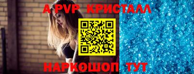 шишки Владимир