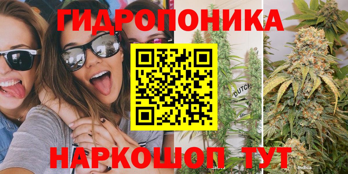 Марихуана Ganja  Вход с VPN  Бошки марихуана индика  Бошки Шишки ГИДРОПОН  Гусь-Хрустальный 